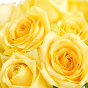 Meet your Posher, Escarlyn